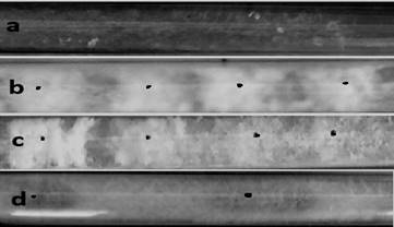 aaaaaaaaa-8m68 final