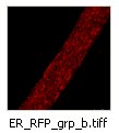 ER_RFP_grp_b