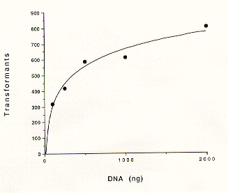 transformants per nanogram DNA